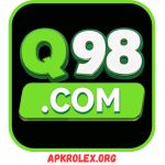 Download Q98 Game APK for Android