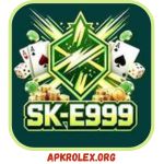 Download E999 Game APK Free in Pakistan